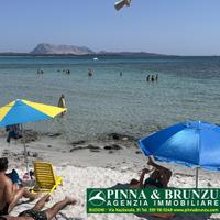 La Cinta - San Teodoro