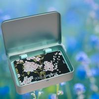 Chiavetta USB Dolce & Gabbana – 2 GB – NUOVA