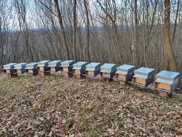 Apiario e attrezzatura