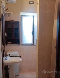 FiUMICINO MONOLOCALE CON GIARDINO