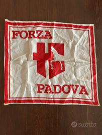 Bandiera calcio Padova