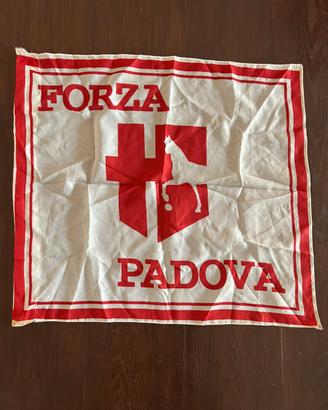 Bandiera calcio Padova