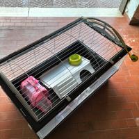 Gabbia nuova per conigli nani completa di tutto