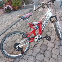 Bici 20 pollici bambino