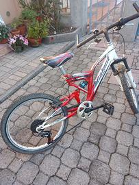 Bici 20 pollici bambino