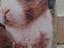 Immagine 3
