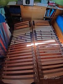 Doghe misure standard