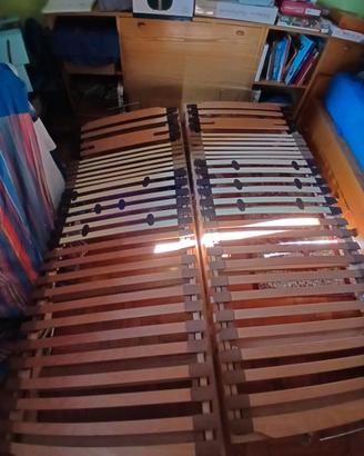 Doghe misure standard