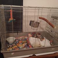 gabbioni per uccelli