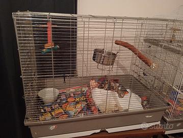 gabbioni per uccelli