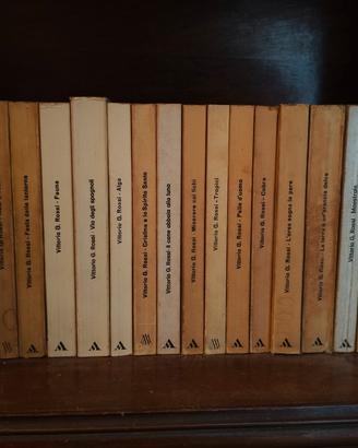 Lotto libri V. G. Rossi
