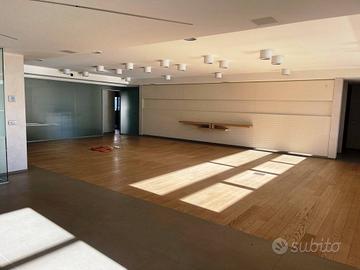 AMPIO LOFT DI 200 mq. CON SOLARIUM DI 250 mq.