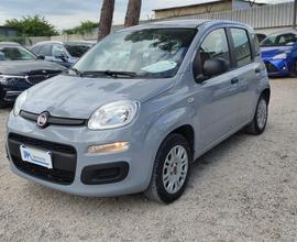 FIAT Panda 1.2 Easy CLIMATIZZATORE OK NEOPATENTA