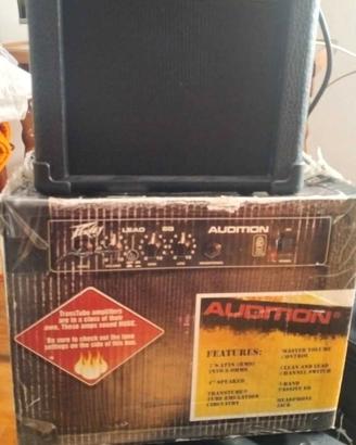 Peavey Audition 