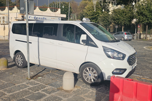 Ford tourneo custom 2018 9 posti