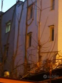 Casa arredata e corredata nel centro storico