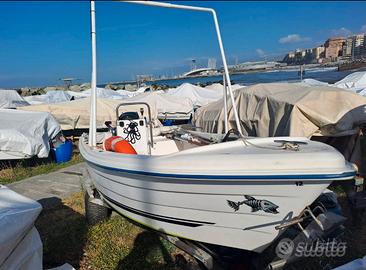 Barca QUICKSILVER 4,40m