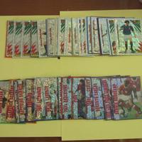 Elenco calcio card panini 1996/1997 tutte Foil