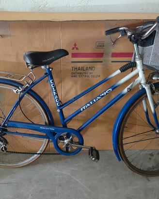 bicicletta usata