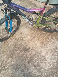 MTB cannodale