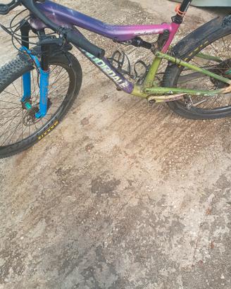 MTB cannodale