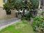 Immagine 15