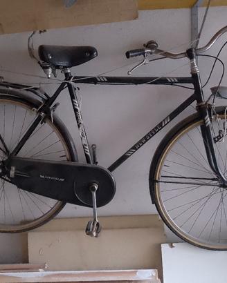 bicicletta da uomo 