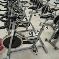 Bike Spinning Schwinn