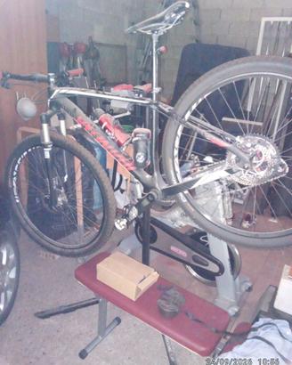 Mountain bike specialized