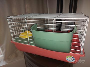 Gabbia per cavia peruviana