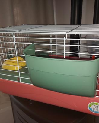 Gabbia per cavia peruviana