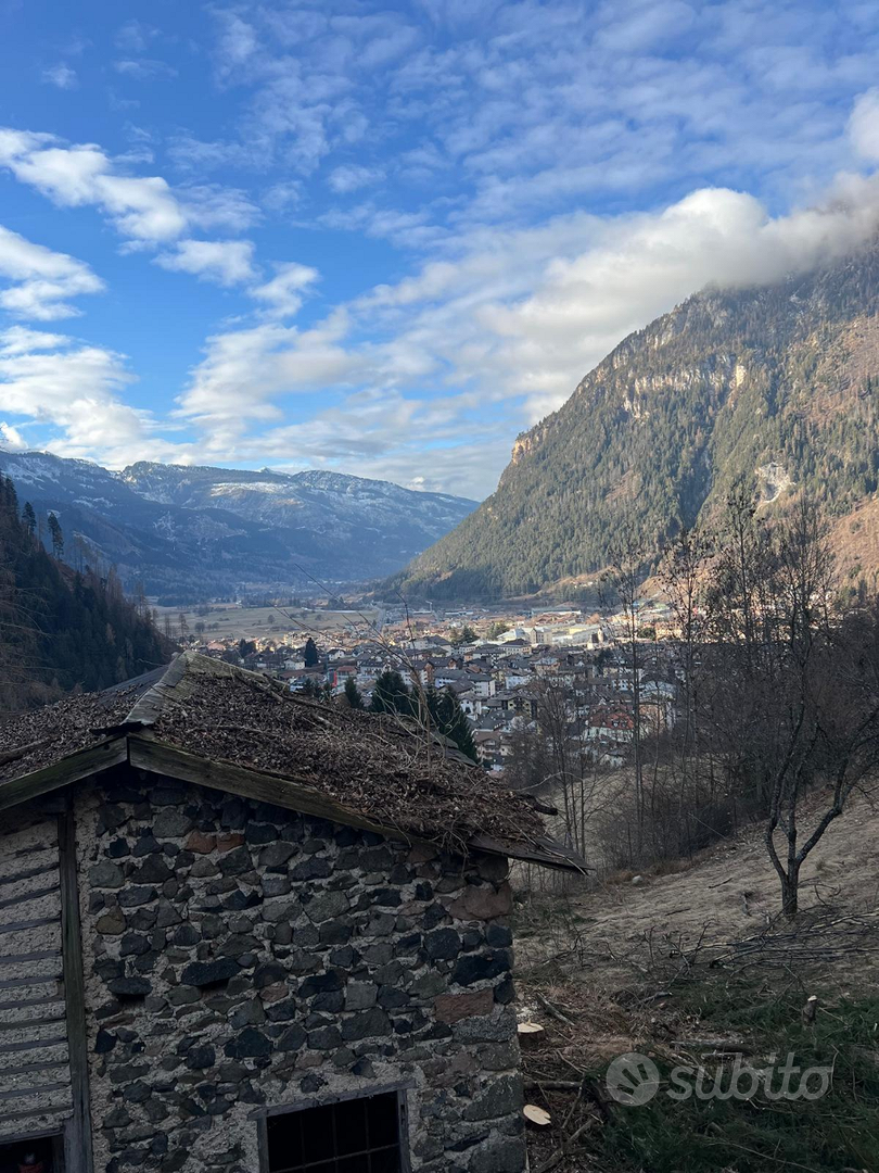 Terreno e rustico in val di Fiemme - Vista 3