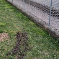 Rete Metallica di colore Bianco 34 Metri h 100 cm