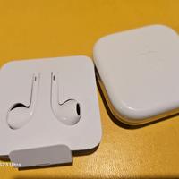 AURICOLARE IPAD ORIGINALE NON USB-C