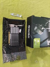 Nvidia GT 710
