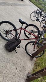 🚲 Mountain Bike Usata  per Avventura