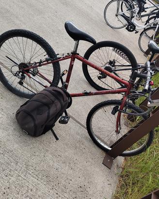 🚲 Mountain Bike Usata  per Avventura