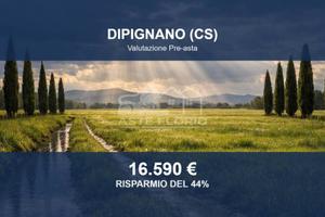 Immobile in asta di 8470 m² a Dipignano