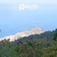 Terreno Agricolo Cefalù [TERC/12VRG]