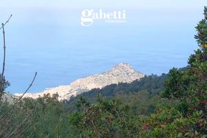 Terreno Agricolo Cefalù [TERC/12VRG]