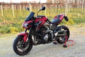 Kawasaki Z900 Performance 2018