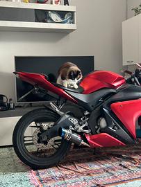 R125 yamaha