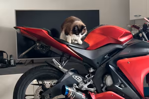R125 yamaha