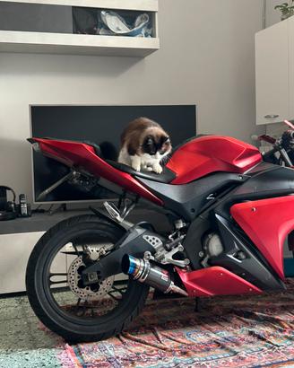 R125 yamaha