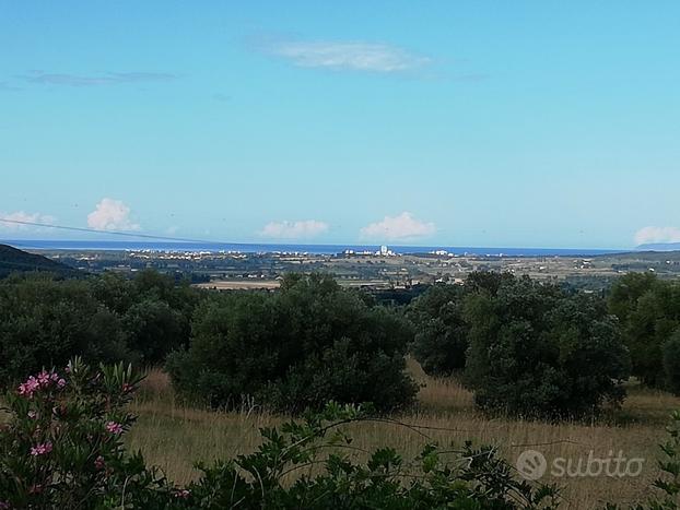 Campagna e mare a due passi da Follonica