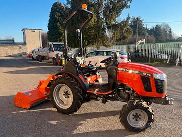 Trattore TAFE 25cv, Motore Mitsubishi + Trincia ma