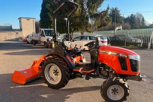 Trattore TAFE 25cv, Motore Mitsubishi + Trincia ma