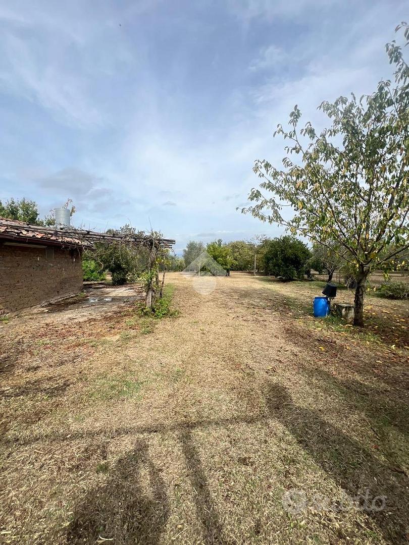 RUSTICO A CORCHIANO - Vista 4