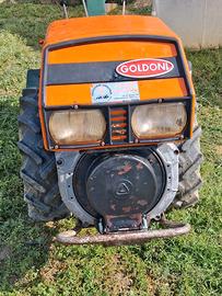 Motocoltivatore Goldoni 14 Cv