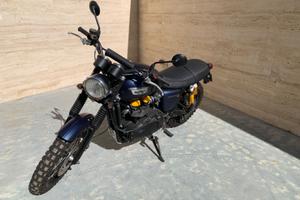 Triumph Scrambler 900 - 2017